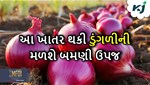 Onion Farming: ડુંગળીની બમણી ઉપજ મેળવવા માંગો છો તો પાકમાં ઉમેરો આ ઓર્ગેનિક ખાતર