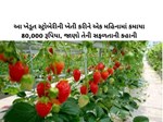 આ ખેડૂત સ્ટ્રોબેરીની ખેતી કરીને એક મહિનામાં કમાયા 80,000 રૂપિયા, જાણો તેની સફળતાની કહાની