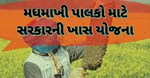 મધમાખી પાલકો માટે સરકારની ખાસ યોજના, ખેડૂતોની આવક વધારવા મળશે મદદ