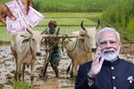 PM Kisan સન્માન નિધીનો આગામી હપ્તો મેળવવા જલ્દી જ આ રીતે કરો eKYC