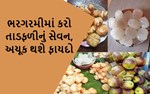 હેલ્થ ટિપ્સ : ભરગરમીમાં કરો તાડફળીનું સેવન