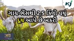 પીએમ મોદીએ આપી ખેડૂતોને સલાહ, ખેતીની સાથે-સાથે કરો બકરી પાલન પણ