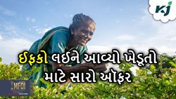 ખાતરને લઈને ખેડૂતોનો ભાર થશે ઓછું, ફક્ત ખેડૂતો માટે IFFCO લઈને આવ્યા આ ઑફર 