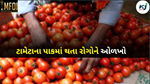 Tomato crop : ટામેટા માં અનેક પ્રકારના રોગને લીધે ખેડૂતોને ઓછા પ્રમાણમાં ઉત્પાદન મળે છે.