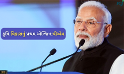 "કૃષિ અને ગ્રામીણ સમૃદ્ધિ" કાર્યક્રમમાં પીએમનો ઠરાવ, કોઈ ખેડૂત નથી રહેવું જોઈએ પાછળ 