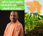દેશભરમાં ગુજરાતની પ્રાકૃતિક ખેતીની ચર્ચા, યોગી સરકાર પોતાના ખેડૂતોને ટ્રેનિંગ માટે મોકલશે ગુજરાત