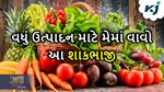 મે મહિનામાં વાવો આ પાંચ શાકભાજી, વધુ ઉત્પાદન સાથે આવક થશે બમણી
