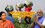 વર્ષ 2021-22 માટેના સામાન્ય બજેટમાં ખેડૂતો માટે મોદી સરકારે આ મોટી જાહેરાતો કરી
