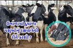 ઉનાળામાં દૂધાળા પશુઓનું રક્ષણ કેવી રીતે કરવું તે જાણો