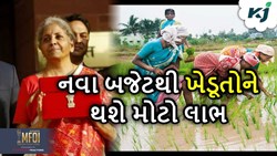 Budget 2024-25: ચૂંટણી પહેલા ખેડૂતોને આપશે મોદી સરકાર મોટી ભેટ