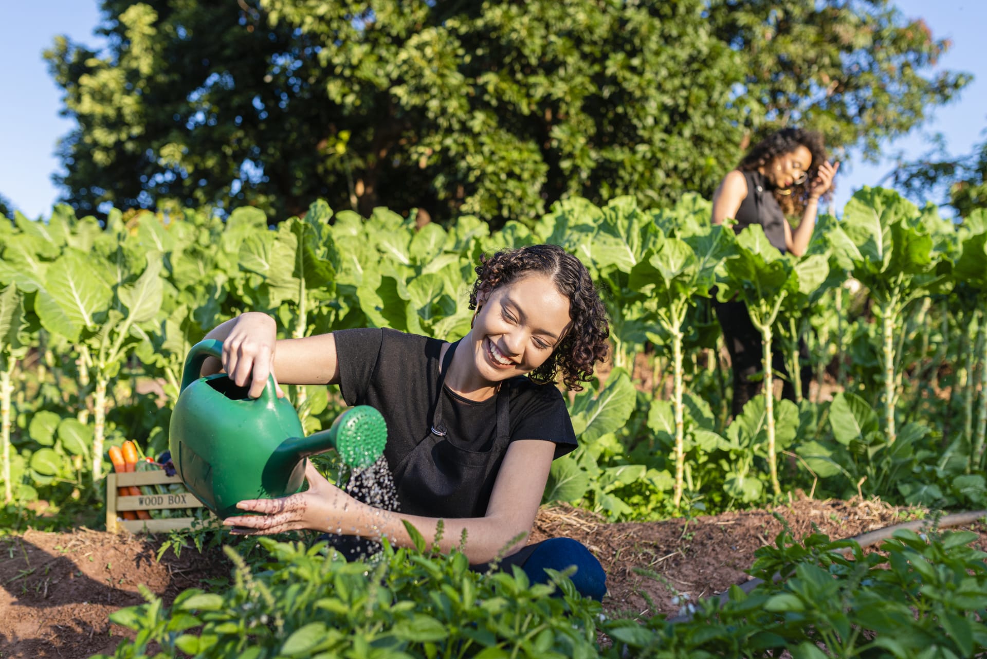 Farming Training