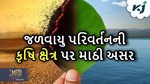 જળવાયુ પરિવર્તનની કૃષિ ક્ષેત્ર પર થઈ રહી છે અસર, પાક થઈ રહ્યા છે બરબાદ