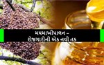 મધમાખીપાલન – રોજગારીની એક નવી તક