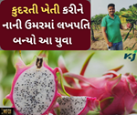 પિતાના અવસાન પછી આ યુવાને કૃષિ ક્ષેત્રમાં મુક્યો પગ, આજે છે લાખોની આવક