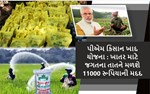 PM કિસાન ખાદ યોજના: ખેડૂતોને ખાતર માટે 11 હજાર રૂપિયા મળશે