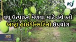 વધુ ઉત્પાદન મેળવવા માટે કરો અલ્ટ્રા હાઈડેન્સિટીનો ઉપયોગ, જાણો તેના વિશે