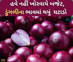 કેન્દ્ર સરકારના નિર્ણય થયું સફળ, છૂટક બજારમાં ડુંગળીના ભાવમાં થયું મોટા પાચે ઘટાડો