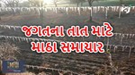 Gujarat Weather: જગતના તાત માટે માઠા સમાચાર, વરસાદ થવાની કોઈ સંભાવના નથી