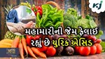 શરીરમાં યુરિક એસિડનું પ્રમાણ લઈ રહ્યો છે મહામારીનું સ્વરૂપ, દૂર કરવા માટે કરો તેનું સેવન