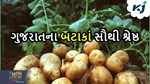 ગુજરાતના બટાકા બનાવ્યું આગવી ઓળખ, વિશ્વમાં ગુજરાતના બટાકાની સૌથી વધું માંગણી