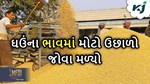 ઘઉંની કિંમતમાં મોટો ઉછાળો, વેચાઈ રહ્યું છે એમએસપી કરતા પણ બમણો