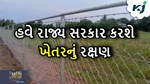 હવે રખડતા પશુઓ પાક બગાડી શકશે નહીં, રાજ્ય સરકાર આ યોજના થકી આપશે સુરક્ષા