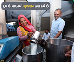ગાયના દૂધ ઉત્પાદનમાં વધારો તો ભેંસના દૂધ ઉત્પાદનમાં થયો મોટા પાચે ઘટાડો:રિપોર્ટ