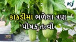 Cucumber Farming: કાકડીના પાક માટે ખૂબ જ મહત્વના છે આ ત્રણ પોષક તત્વ, ખેતી કરતા પહેલા જાણી લો