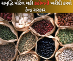 કઠોળ પાકની ખરીદી માટે સરકારે બનાવ્યું સમૃદ્ધિ પોર્ટલ, તુવેર, અડદ અને મસૂરની કરશે ખરીદી