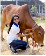 ગોલ્ફની મહિલા ખેલાડીએ ભારતમાં બનાવ્યો ગીર ગાયનો તબેલો, કરી રહી છે લાખોની કમાણી 