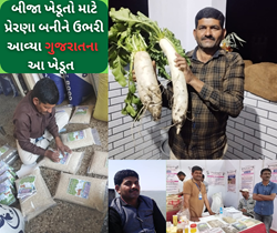 Success Story: ગુજરાતના આ ખેડૂત છે બીજા માટે પ્રેરણા, ગાય આધારિત ખેતી થકી લોકો સુધી પહોંચાડી શુદ્ધ ખોરાક 