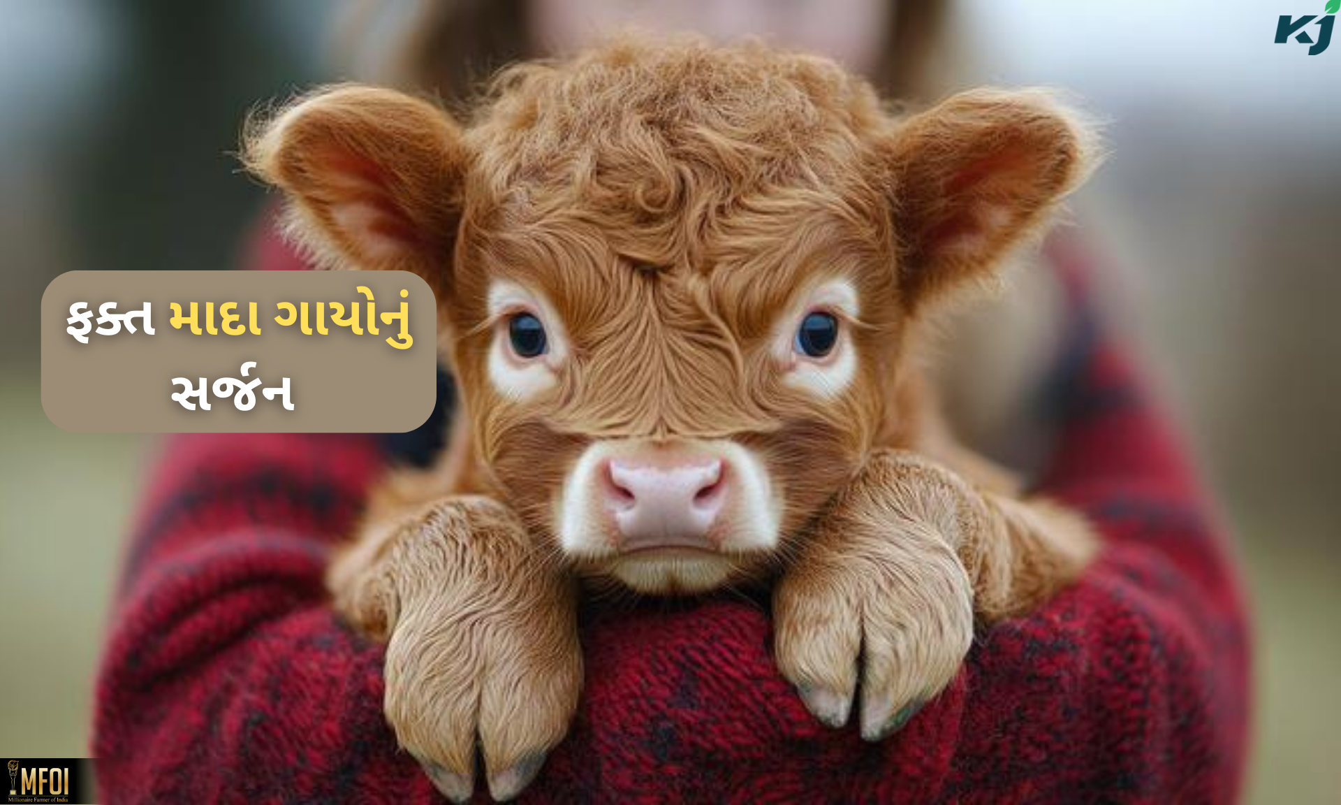 ફોટો-સોશિયલ મીડિયા