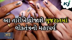 લોકસભા ચૂંટણીની તારીખોની થઈ જાહેરાત, જાણો ગુજરાતમાં ક્યારે યોજાશે લોકતંત્રનો મહા પર્વ 