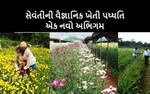 સેવંતીની વૈજ્ઞાનિક ખેતી પધ્ધતિ એક નવો અભિગમ
