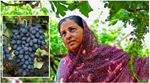 પતિના મૃત્યુ થયા બાદ આ મહિલાએ શરૂ કરી ખેતી, આજે કરી રહી છે લાખોની કમાણી 