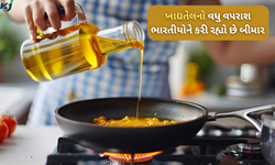ખાદ્યતેલનો વધુ પડતો ઉપયોગ ભારતીયોનો બગાડી રહ્યો છે સ્વાસ્થ્ય, ગ્રામીણ ભારત છે મોખરે