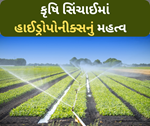 હાઈડ્રોપોનીક્સ: કૃષિ સિંચાઈ માં અદ્યતન તકનીકોના પ્રકાર તેમ જ વાપરવાની રીત