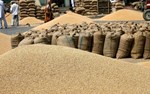 Market Price: જાણો જુદા-જુદા એપીએમસીમાં 22 ફેબ્રુઆરીના બજાર ભાવ વિશે