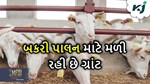 બકરી પાલન માટે રાજ્ય સરકાર આપી રહી છે ગ્રાંટ, આવી રીતે કરો આવેદન