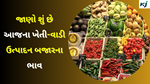 Mandi Bazar Price : જાણો શું છે આજના ખેતી-વાડી ઉત્પાદન બજારના ભાવ