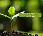 ઓર્ગેનિક ખેતીની નથી થઈ રહી અસર, જમીનની ફળદ્રુપતામાં જોવા મળી રહ્યું છે ઘટાડો