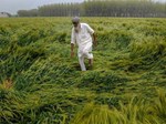 IMD Rainfall Alert: ઉત્તર ભારતના આ રાજ્યોમાં 4-5 દિવસ સુધી વરસાદની આશંકા, આ પાકને થઈ શકે છે નુકસાન