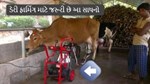 ડેરી ફાર્મિંગ શરૂ કરતા પહેલા આ સાધનો જરૂર ખરીદો, તેમના વગર કામ નહીં ચાલે