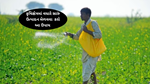 Agriculture Production; કૃષિક્ષેત્રમાં વધારે સારું ઉત્પાદન મેળવવા સુક્ષ્મતત્વોના આ મહત્વતાને જાણો અને તેની ઉપણ દૂર કરો