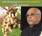 ગુજરાત સરકારની મોટી જાહેરાત, ટૂંક સમયમાં ટેકાના ભાવે શરૂ થશે મગફળીની ખરીદી