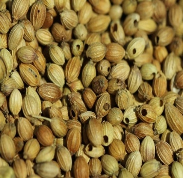 વરિયાળીના સંગ્રહમાં જીવાત