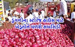 ખેડૂતો માટે અગત્યનો સમાચાર, ડુંગળીના સ્ટોરેજ સ્ટોર માટે આપવામાં આવશે સબસિડી