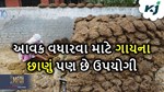 ગાયના છાણા પણ આપી શકે છે મોટી આવક, કેટલીક વસ્તુઓનું છે જન્મદાતા