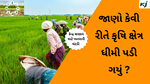 Agricultural Growth કેન્દ્ર સરકાર માટે ખતરાની ઘંટડી છે, જાણો કેવી રીતે કૃષિ ક્ષેત્ર ધીમી પડી ગયું છે.
