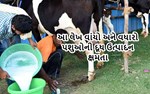 દૂધ ઉત્પાદનમાં ભારતનું સ્થાન અને યોગદાન